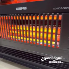  6 صورة القصور والفلل