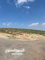  9 قطعة ارض للبيع في أجمل مناطق بيرين ( اعلى قمة )  فرصة العُمر في مشروعنا في بيرين