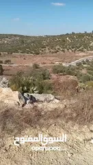  2 ارض للبيع طولكرم