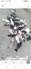  1 حمام للبيع للبيع
