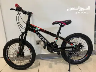  20 Buy from Professionals - New Bicycles , E Bikes , scooters Adults and Kids - Bahrain Cycles