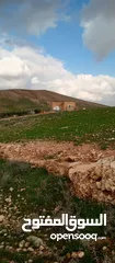  1 ارض زراعية للبيع  .. قطعه زراعية .   محافظة مادبا . ذيبان . مليح . حوض العلاقي . مساحة اربع دنمات
