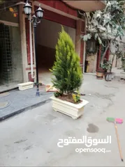  10 شقة للبيع بولكلي ناحية كفر عبده خلف نادي القضاة