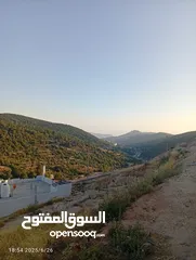  13 بيت مستقل حديث