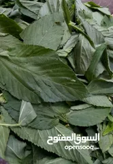  4 ملوخيه ورق وملوخيه ناشفه مفروكه وناعمه بدون عيدان مغسله ومنقبه وجاهزه لطبخ