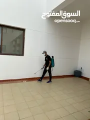  30 شركه الاستبشار الحديثة