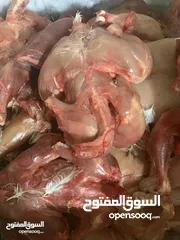  3 دجاج علف للقطط وكلاب