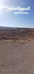  24 قطعه ارض للبيع