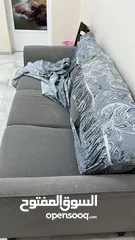  9 Bed Fridge Sofa For Sale
