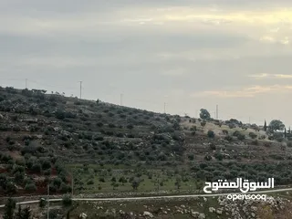  3 ارض 5 دونم سكن ريفي في بدر ( حي الاميرات)