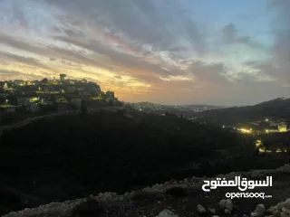  6 ارض للبيع نابلس الجديدة