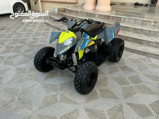  12 polaris 110cc -  انجكتر