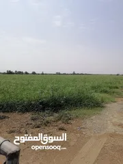  1 للبيع أرض زراعيه كبيره جدا قائمه في المصنعه الملده جنوب ماء عذب بمساحة 40 فدان