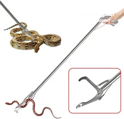  2 عصاة الزواحف