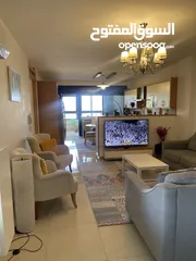  3 شقه مميزه بالطيره