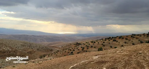  5 أرض مميزة مطلة على القدس  من أراضي غرب عمان للبيع