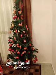  2 شجرة عيد الميلاد " كريسماس " Christmas tree for sale