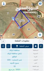  1 أرض 10دونمات خلف جامعة الزرقاء الخاصة