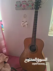  12 Acoustic Guitar Cort AF-550 NS جيتار اكوستك اصلي كورت اوتار جديدة موديل فخم للبيع