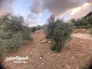  7 للبيع: أرض بإطلالة خلابة وموقع هادئ في دابوق من المالك مباشرة فيها منسوب