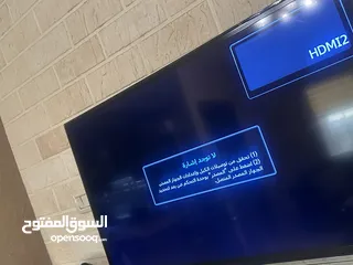  8 تريات إيطالي للبيع من محل نور على نور