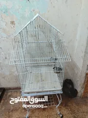  5 قفص لجميع الببغاء
