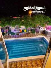  4 مزرعة وشاليه ريف عجلون