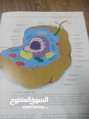  21 كتاب بعنوان biology