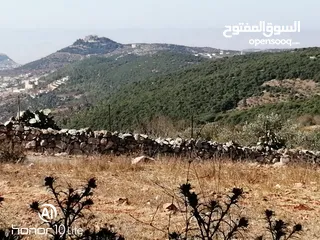  5 قطعه ارض في منطقه اشتفينا السياحيه