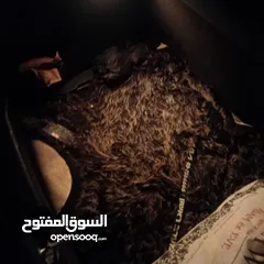  2 كيا برايد 2014 سيارة نظيفه وشغل قنيه