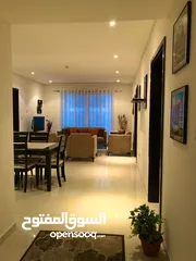  3 fully furnished apartment for rent