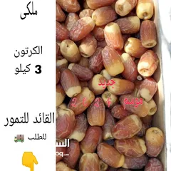  1 صجعى القصيم ملكى