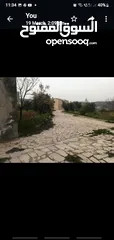  9 Farm for sale