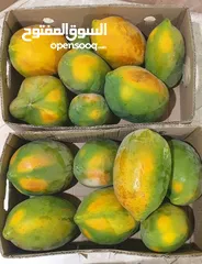  1 فيفاي طازج من المزرعة (Fresh Papaya)