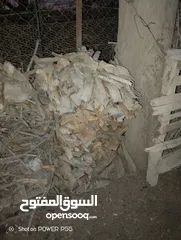  24 تشكيلة حطب للبيع