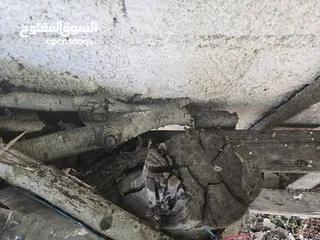  13 حطب من شجر متنوع
