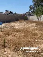  2 ارض مميزة للبيع