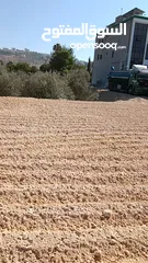  20 بناء سناسل حجريه استصلاح ارض زراعيه  تشييك المزارع تعبيد الشوارع تعبيد الساحات ملاعب شاليهات