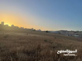 6 ارض للبيع في طبربور مستوية  بقوشان مستقل
