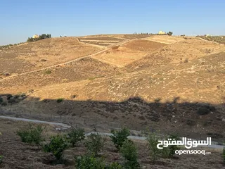  4 أرض زراعية للبيع في سيحان / البلقاء 5 دونمات و 300 متر.
