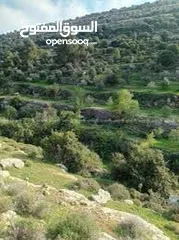  2 قطعة ارض مميزه للبيع