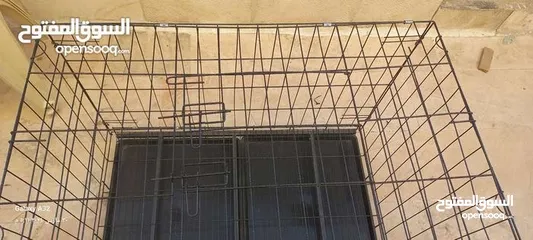  5 كفص كلب كبير