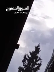  1 مطلوب فرس منظر ومحظر