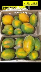  6 فيفاي طازج من المزرعة (Fresh Papaya)