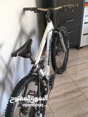  7 بسكليت من نوع Bianchi caal 8400