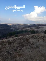  2 موجود ارضي للبيع في صوريف