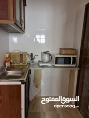  2 شقق مفروشة ديلوكس جديدة للإيجار