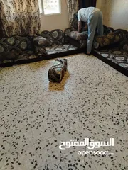  3 تفاصيل البسه ذكر وانثى اسمهم ثلاثه ومطعمات وكل شيء