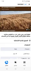  15 محال تجارية للايجار - الشارع الرئيسي/حي الاسكان-اسكان ابن سينا بالزرقاء الجديدة البتراوي