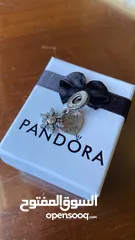  25 Pandora فضة